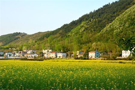 房子地基沉降（地基沉降保險(xiǎn)理賠流程分析,地基沉降保險(xiǎn)理賠流程）